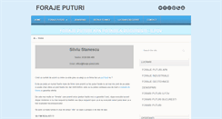 Desktop Screenshot of foraje-puturi.info